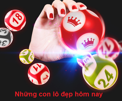 những con lô đẹp hôm nay